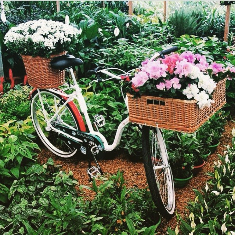 Tendência: entrega de flores com bike