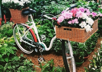 Tendência: entrega de flores com bike