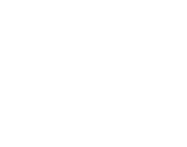 Ecobike Courier